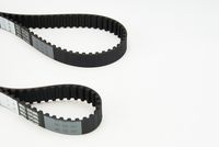 CONTINENTAL CTAM CT901(SET) - Correa dentada
