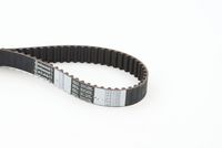 CONTINENTAL CTAM CT955 - Correa dentada