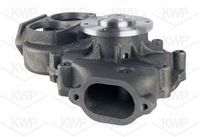 DAYCO DP112 - Bomba de agua, refrigeración del motor