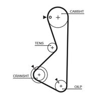 CONTINENTAL CTAM CT511K2 - Juego de correas dentadas