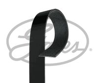 GATES 11PK2055HD - Correa trapecial poli V - FleetRunner™ Micro-V®