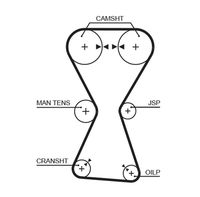 CONTINENTAL CTAM CT1000K2PRO - Juego de correas dentadas