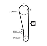 CONTINENTAL CTAM CT1024K1 - Juego de correas dentadas