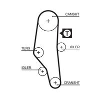 CONTINENTAL CTAM CT589K2 - Juego de correas dentadas
