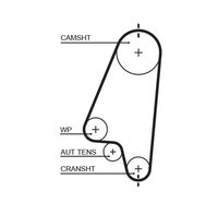 CONTINENTAL CTAM CT874K1 - Juego de correas dentadas