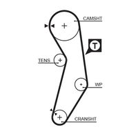 CONTINENTAL CTAM CT927K1 - Juego de correas dentadas