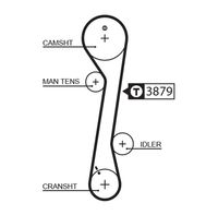CONTINENTAL CTAM CT937K2 - Juego de correas dentadas