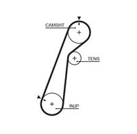 CONTINENTAL CTAM CT1020 - Correa dentada