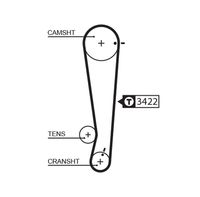 CONTINENTAL CTAM CT1013K1 - Juego de correas dentadas