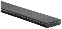 GATES 4PK773 - Correa trapecial poli V