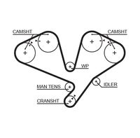 GATES T195RB - Correa dentada - RPM Racing Timing Belt