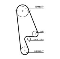 GATES T244RB - Correa dentada - RPM Racing Timing Belt