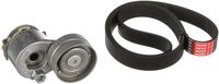 GATES K017PK1125 - Juego de correas trapeciales poli V - Micro-V®