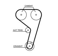 GATES T354HOB - Correa dentada