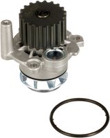 DAYCO DP163 - Bomba de agua, refrigeración del motor