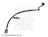 BLUE PRINT ADA105301 - Tubo flexible de frenos