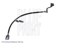 BLUE PRINT ADA105301 - Tubo flexible de frenos