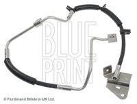 BLUE PRINT ADA105316 - Tubo flexible de frenos