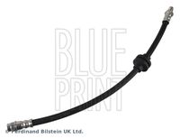 BLUE PRINT ADBP530008 - Tubo flexible de frenos