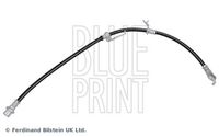 BLUE PRINT ADBP530023 - Tubo flexible de frenos
