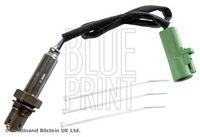 BLUE PRINT ADBP700023 - Sonda Lambda