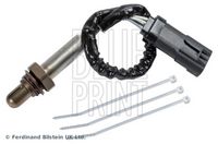 BLUE PRINT ADBP700078 - Sonda Lambda