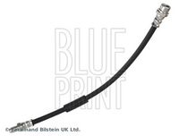 BLUE PRINT ADBP530024 - Manguera de frenos