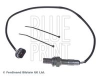 BLUE PRINT ADC47062 - Sonda Lambda