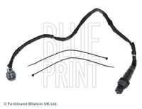 BLUE PRINT ADC47059 - Sonda Lambda