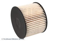 BLUE PRINT ADF122301 - Filtro combustible