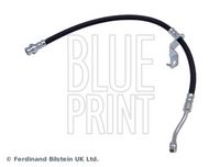 BLUE PRINT ADG053321 - Tubo flexible de frenos
