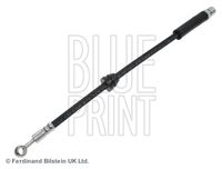 BLUE PRINT ADG053181 - Tubo flexible de frenos