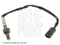 BLUE PRINT ADG07054 - Sonda Lambda