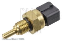 BLUE PRINT ADG07260 - Sensor, temperatura del refrigerante