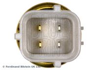 BLUE PRINT ADG07252 - Sensor, temperatura del refrigerante