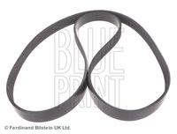BLUE PRINT ADG09623 - Correa trapecial poli V