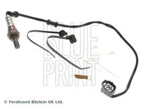 BLUE PRINT ADH27025 - Sonda Lambda