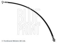 BLUE PRINT ADN153249 - Manguera de frenos