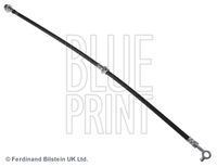 BLUE PRINT ADN153175 - Tubo flexible de frenos