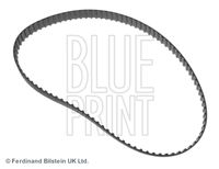 BLUE PRINT ADN17505 - Correa dentada