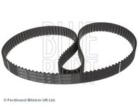 BLUE PRINT ADN17520 - Correa dentada