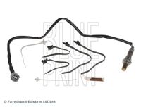 BLUE PRINT ADS77003 - Sonda Lambda