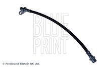 BLUE PRINT ADT353175 - Tubo flexible de frenos