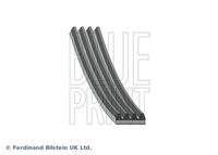 BLUE PRINT AD04R900 - Correa trapecial poli V