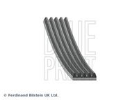 BLUE PRINT AD05R1094 - Correa trapecial poli V