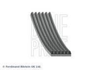 BLUE PRINT AD06R1170 - Correa trapecial poli V