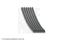 BLUE PRINT AD06R1212 - Correa trapecial poli V