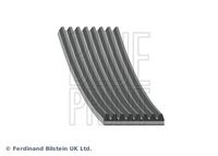 BLUE PRINT AD08R2485 - Correa trapecial poli V