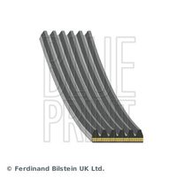 BLUE PRINT AD06A1805 - Correa trapecial poli V
