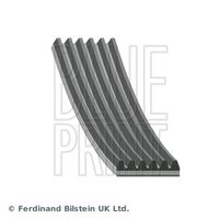 BLUE PRINT AD06R1770 - Correa trapecial poli V